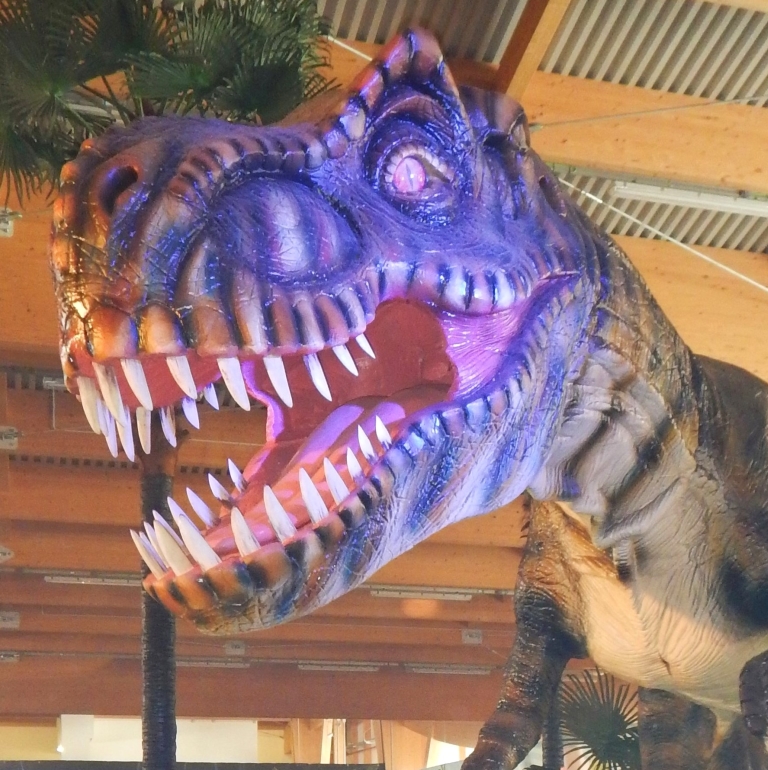 Speciale vacanze di Natale: Dino Park sempre aperto!